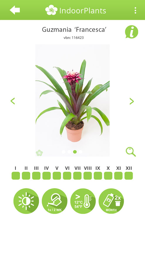 Device Content Image